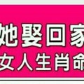 娶了這三種生肖就好命，“男人把她娶回家就對了的女人生肖命格