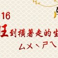 2016旺到橫著走的生肖！