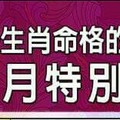 什麼生肖命格的人，農曆七月特別強運？