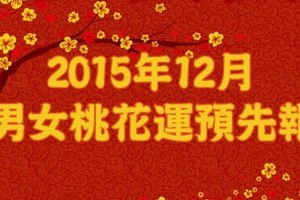 2015年12月男女桃花運