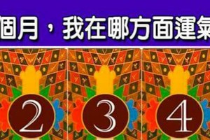 超神準測驗~.【未來一個月，我在哪方面運氣最旺？】.。。分享。。分享。。留言16888一路發