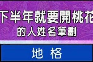 下半年就要開桃花的人姓名筆劃