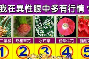 超神準測驗~我在異性眼中多有行情？