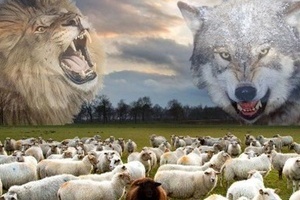 讓一群羊選擇要和狼或獅子同住! 如果你是羊，你的選擇是?~~~