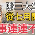 哪三大生肖從七月開始喜事連連不斷