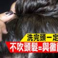 髒東西佈滿這內臟全因「不吹頭髮」！洗頭不吹=與「黴菌」共枕？三招拒絕互相傷害