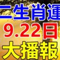 9.22日十二生肖運勢大播報