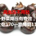 高血壓不用愁，農村一野菜降壓有奇效，讓你170一路降到110