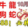 10月18日，生肖猴、牛、龍、雞、狗、蛇！888888！