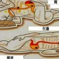 怎麼睡覺最養生？專家說「這樣睡」排毒又養心！