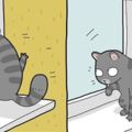 一日為奴，終身為奴！18張「貓奴的日常漫畫」給想要養貓的人知道生活會有什麼樣的改變！