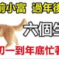 過年前小富、過年後大富的6個生肖，大年初一到年底忙著數錢！