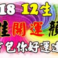 201812生肖的最佳開運顏色！常穿包你好運連連