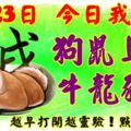 3月23日，今日我最旺！狗鼠馬猴牛龍豬羊！【33388】越早打開越靈驗！點個贊吧！