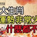 三大生肖運勢非常火旺，什麼都不缺！