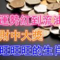 17號運勢紅到流油，桃花可得，發橫財中大獎，事業旺旺旺的生肖