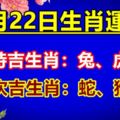 8月22日生肖運勢-今天特吉生肖：兔、虎、馬次吉生肖：蛇、猴、狗