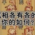 十二屬相各有各的命，看看你的如何？