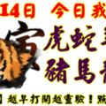 10月14日，今日我最旺！虎蛇羊鼠豬馬龍猴！【18888】越早打開越靈驗！點個贊吧！