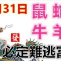 10月31日生肖運勢_鼠、蛇、龍大吉