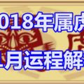 2018年屬虎11月運程解析