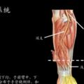 老師你會感覺「用腦過度」嗎？這套健腦神操火了，可以幫到你！