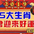 「運勢」苦盡甘來！2019年裡，五大生肖總會迎來各種「好運」