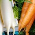 白蘿卜和胡蘿卜真的不能一起吃嗎？、抗病毒抗癌的食療功效最好生吃