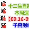 十二生肖運勢：本周運勢【09.16-09.22】千萬別錯失！