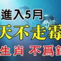 一進入5月，31天不走黴運，不為錢累的生肖