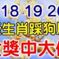 5月18，19，20號，這些生肖踩狗屎運