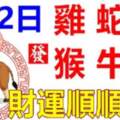 6月2日生肖運勢_雞、蛇、鼠大吉