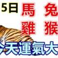 6月15號生肖運勢_馬、兔、豬大吉