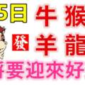 8月5日生肖運勢_牛、猴、雞大吉