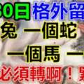 8月30日要格外留心了，一個兔，一個蛇，一個馬，一個虎今天必須轉啊