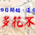 9月29日開始錢多花不完的生肖