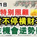 10月31日吉星特別照顧的生肖，抓住機會逆勢翻盤，正財不停橫財不斷