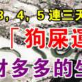 11月3，4，5連三天，走「狗屎運」，錢財多多的生肖