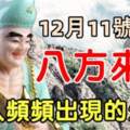 12月11號開始八方來財，貴人頻頻出現的生肖