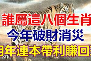 誰屬這八個生肖，今年破財消災，明年連本帶利賺回來！