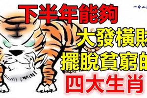 下半年能夠大發橫財擺脫貧窮的四大生肖！