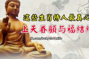這些生肖待人最真心，上天眷顧與福結緣