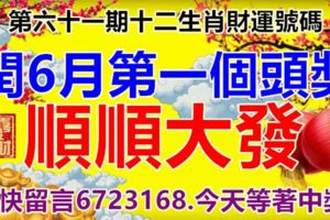 第六十一期十二生肖財運號碼。閏6月第一個頭獎，順順大發。趕快留言6723168.今天等著中獎！