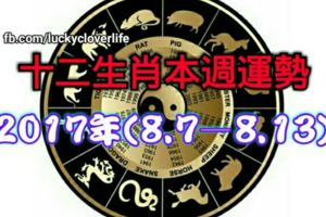 十二生肖本週運勢2017年(8.7—8.13)