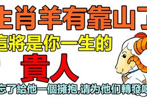 生肖羊有靠山了，這將是你一生的貴人！別忘了給他一個擁抱