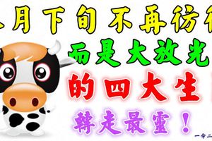 本月下旬不再彷徨而是大放光彩的四大生肖！