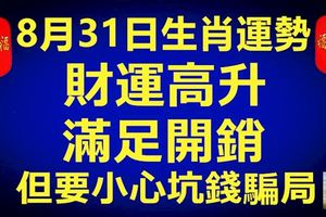 8月31日生肖運勢，財運高升，滿足開銷，但要小心坑錢騙局