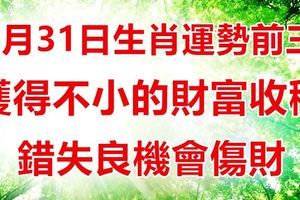 8月31日生肖運勢前三，獲得不小的財富收穫，錯失良機會傷財