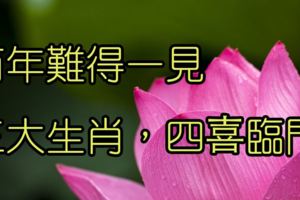 百年難得一見的「四喜臨門」，三大生肖，千萬要把握！