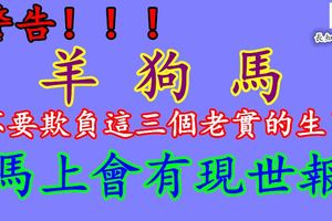 警告！！！不要欺負這幾個老實的生肖，馬上會有現世報